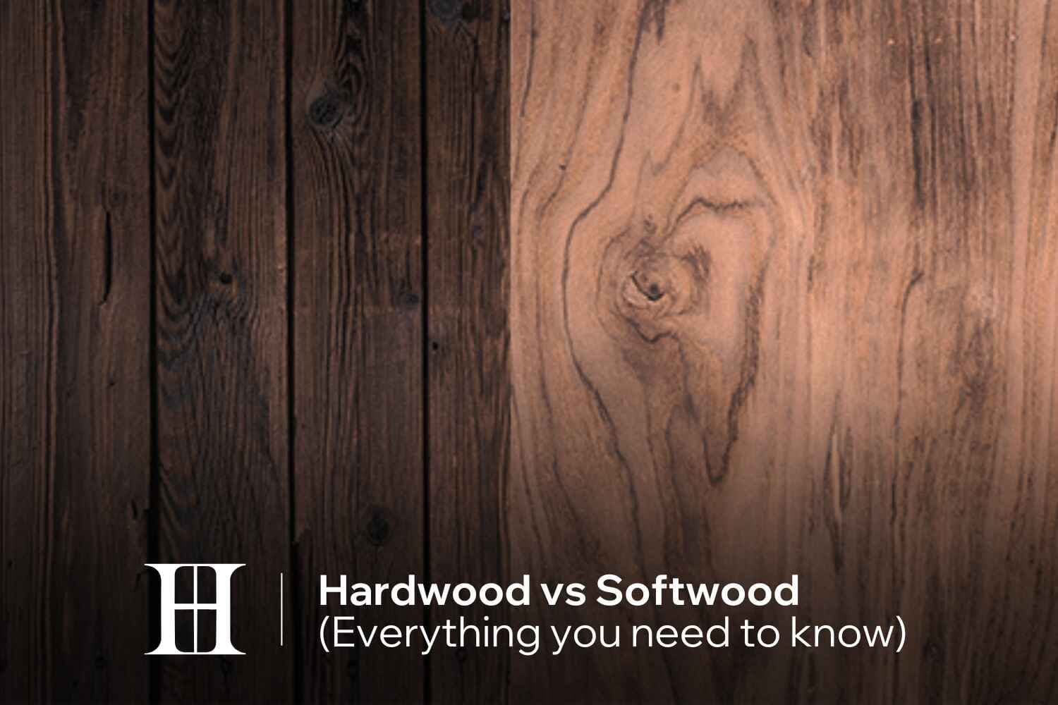 Hardwood vs Softwood (Everything you need to know)